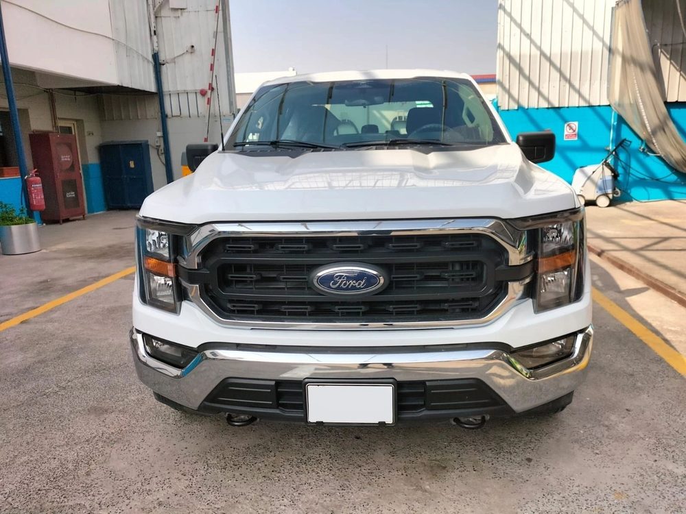 White Ford pickup truck in the Warba yard