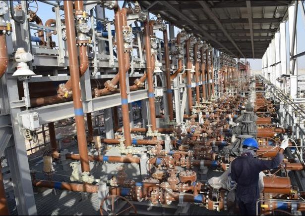 Manifold skid